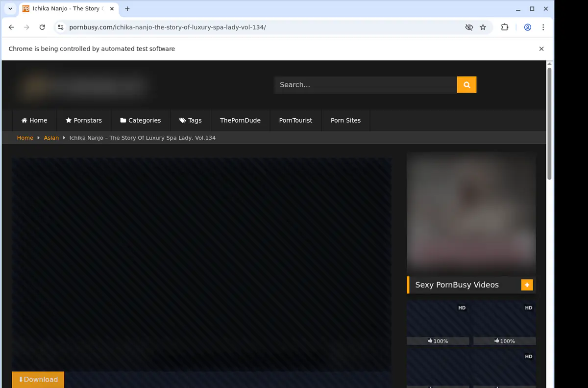 Pornbusy Video Downloader browser extension screenshot 2