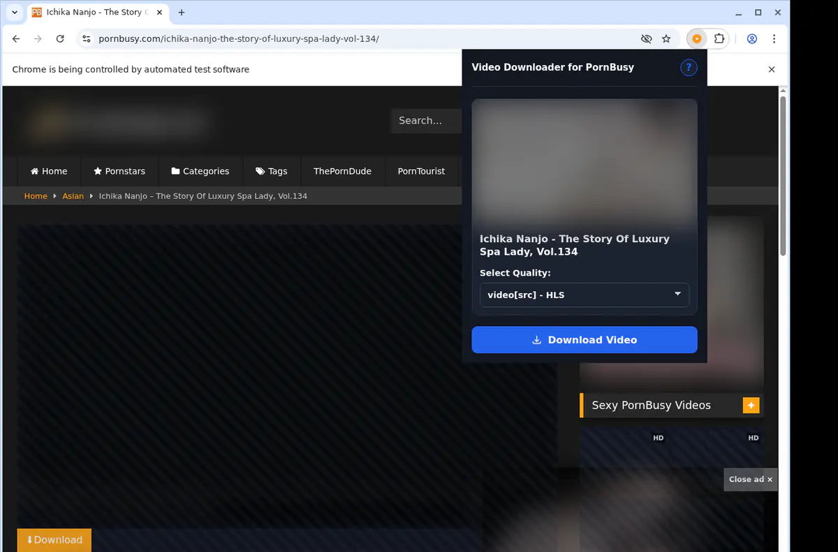 Pornbusy Video Downloader browser extension screenshot 3